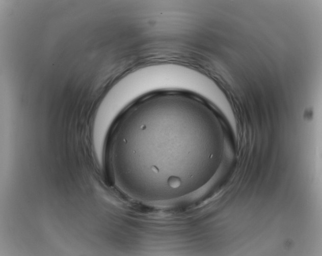 X0000092000412200709061443