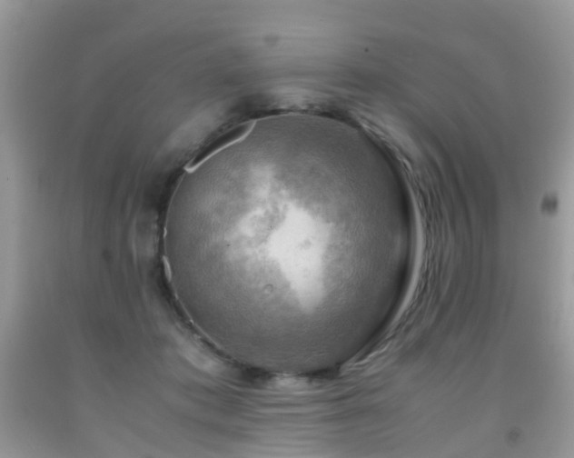 X0000092000413200709061443