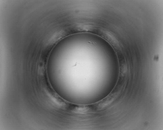 X0000092000414200709061443