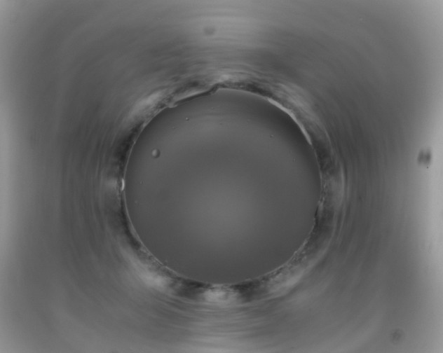 X0000092000415200709061443