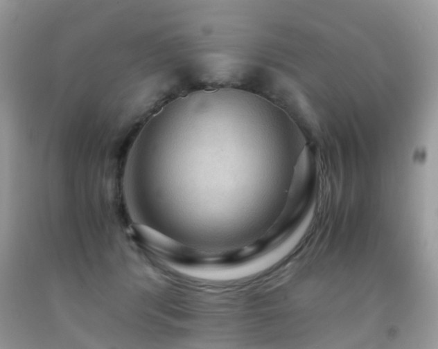 X0000092000416200709061443