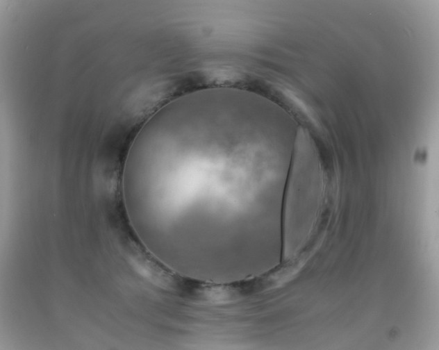 X0000092000417200709061443