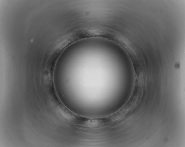 X0000092000418200709061443