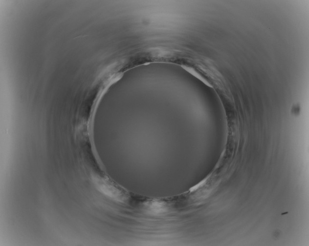 X0000092000419200709061443