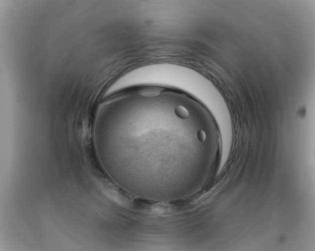 X0000092000420200709061443