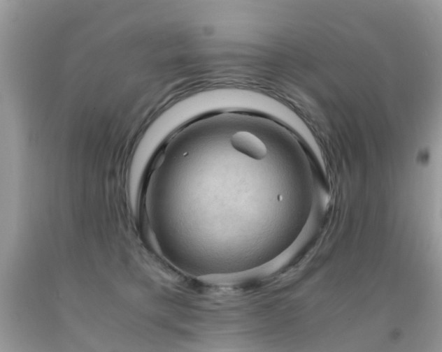 X0000092000421200709061443