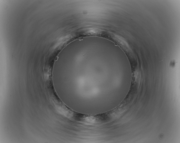 X0000092000423200709061443