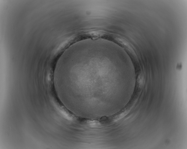 X0000092000424200709061443