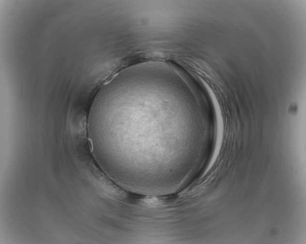 X0000092000425200709061443