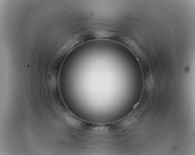 X0000092000426200709061443