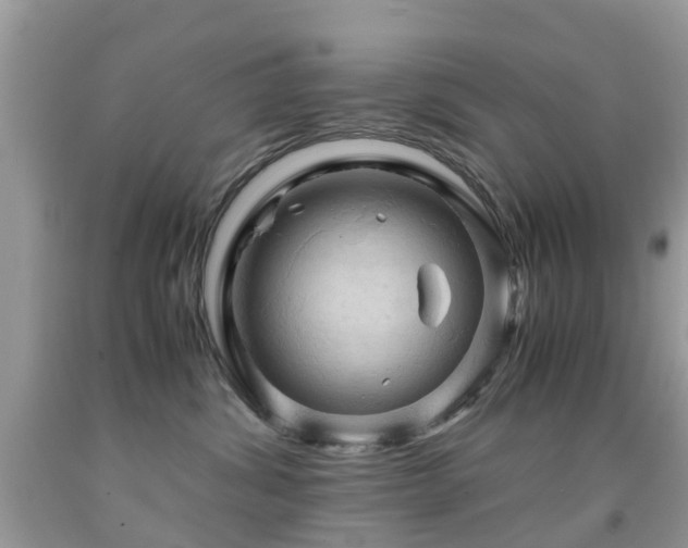 X0000092000428200709061443