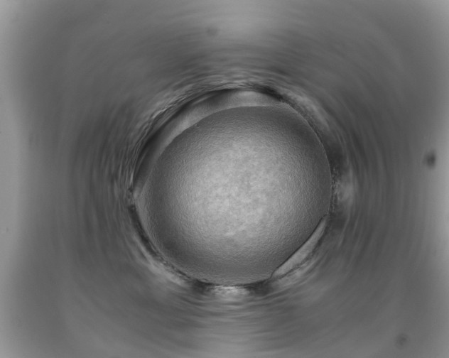 X0000092000429200709061443