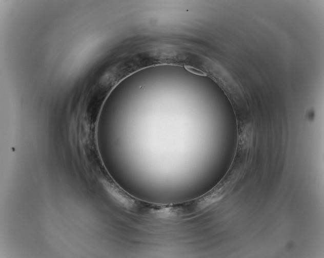 X0000092000430200709061443