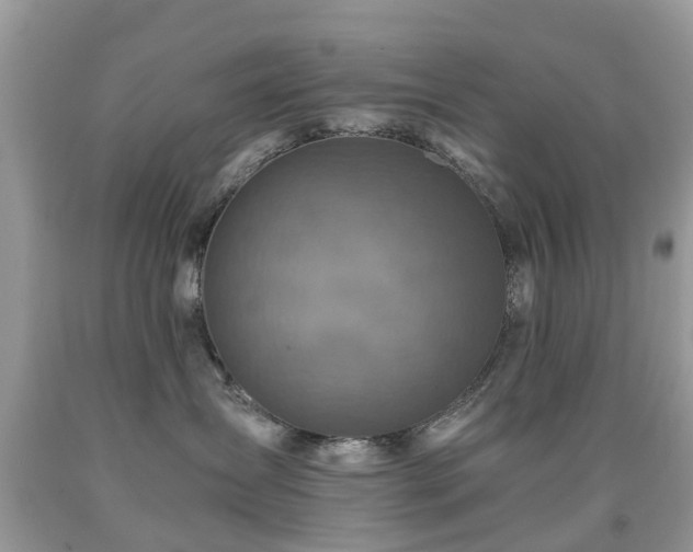 X0000092000431200709061443