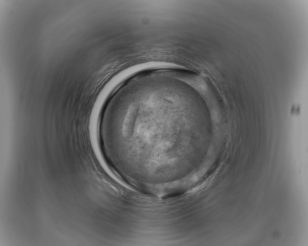 X0000092000432200709061443