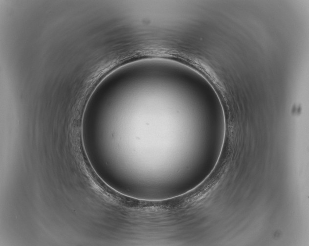 X0000092000433200709061442