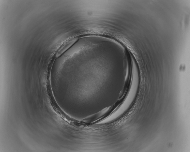 X0000092000434200709061442