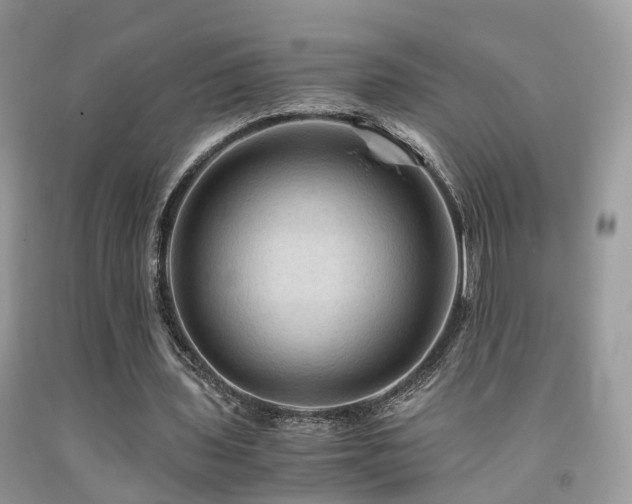 X0000092000435200709061442