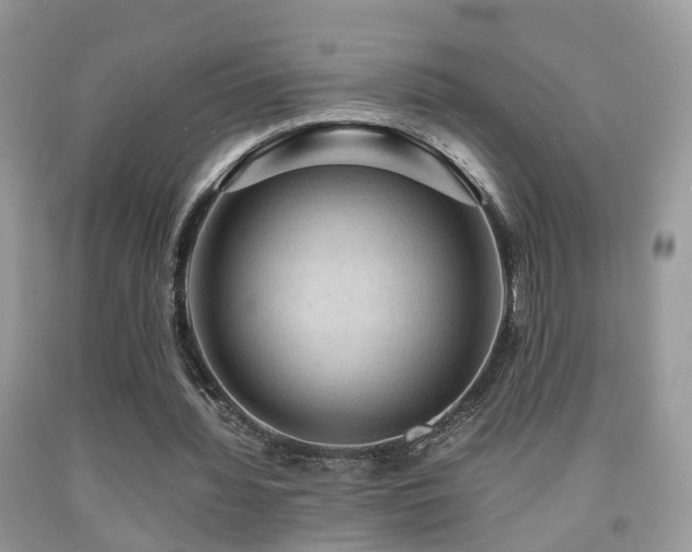 X0000092000436200709061442