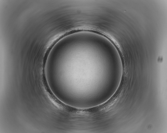 X0000092000437200709061442