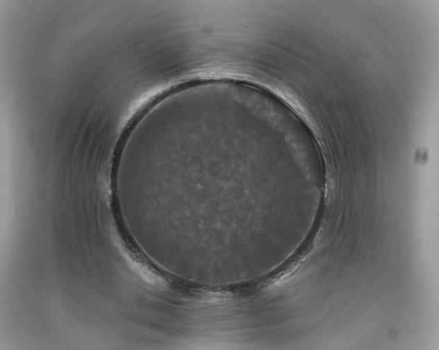 X0000092000438200709061442