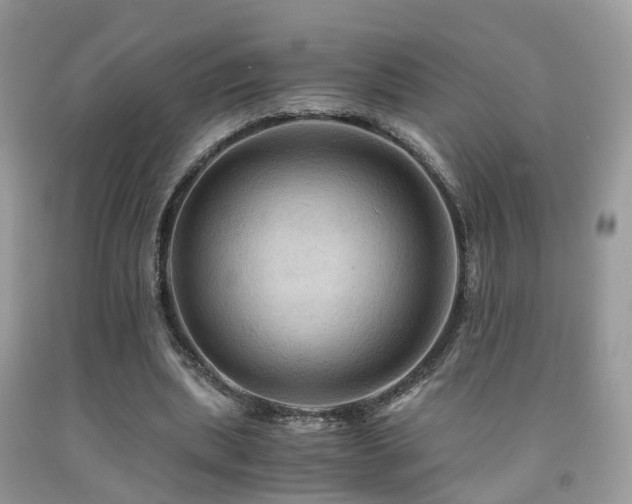 X0000092000439200709061442