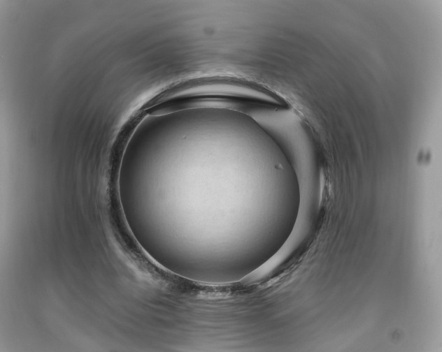 X0000092000440200709061442