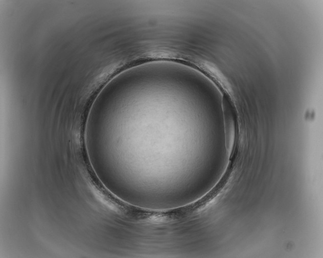 X0000092000441200709061442