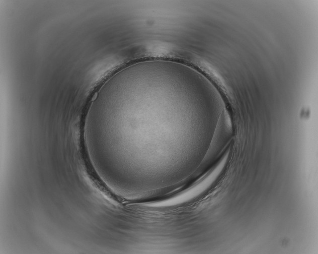 X0000092000442200709061442