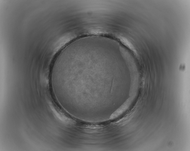 X0000092000443200709061442