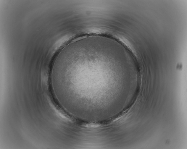 X0000092000444200709061442