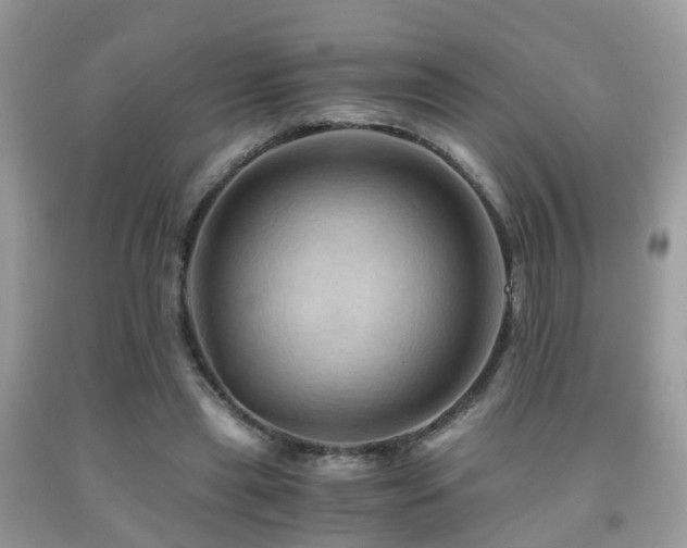 X0000092000445200709061442