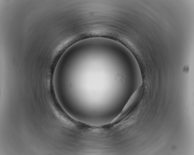 X0000092000446200709061442