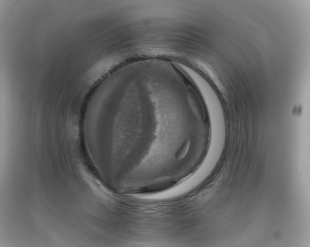 X0000092000447200709061442