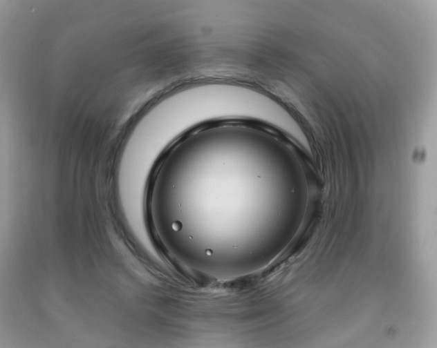 X0000092000448200709061442