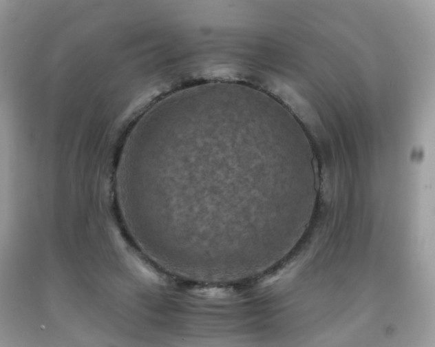 X0000092000449200709061442