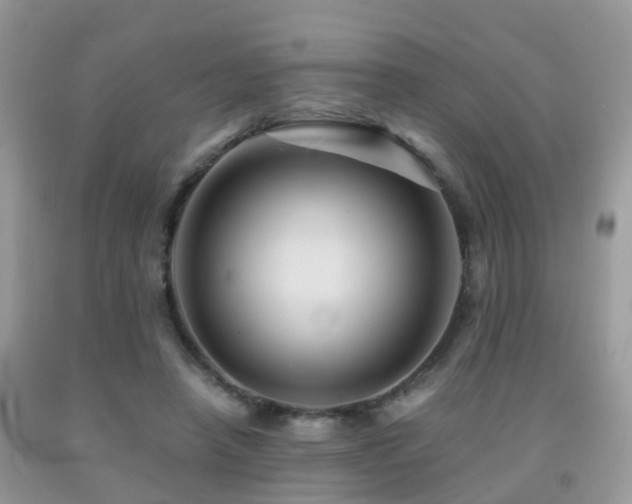 X0000092000450200709061442