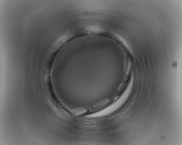 X0000092000451200709061442