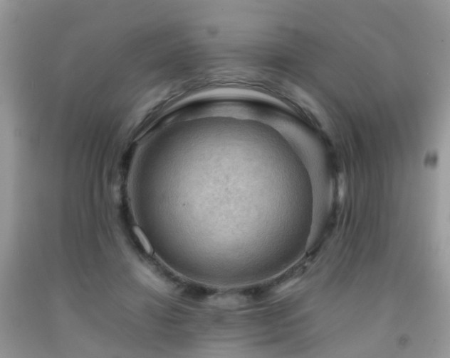 X0000092000452200709061442