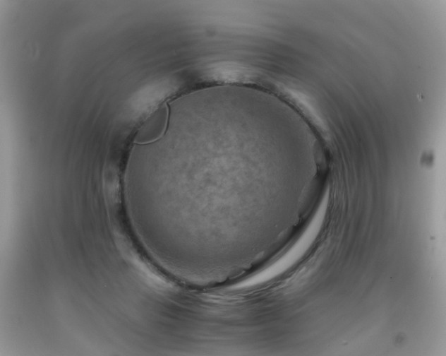 X0000092000453200709061442