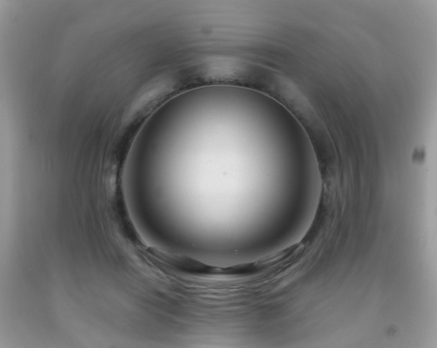 X0000092000454200709061442