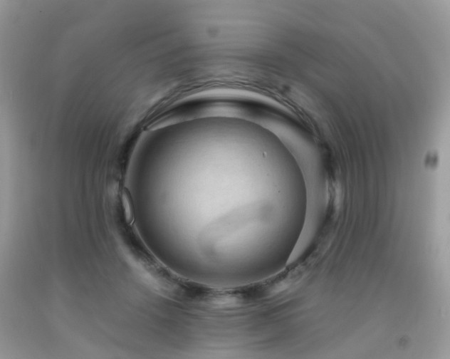 X0000092000456200709061442