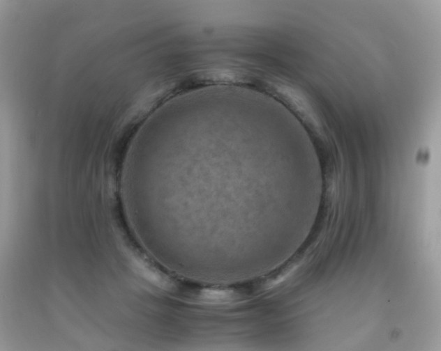 X0000092000457200709061443