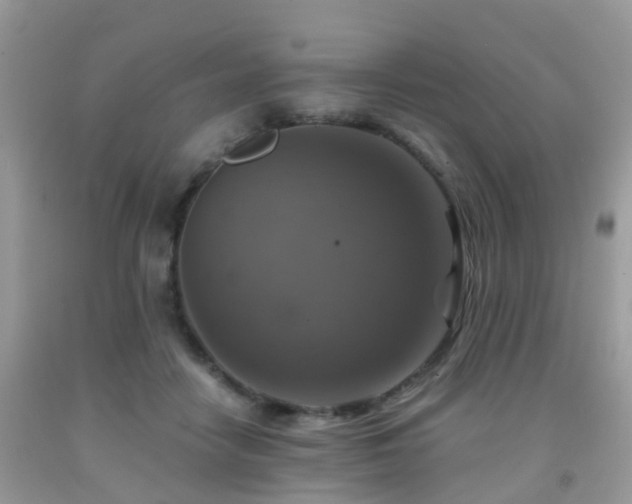 X0000092000458200709061443