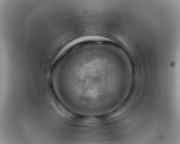 X0000092000459200709061443