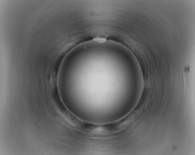 X0000092000460200709061443