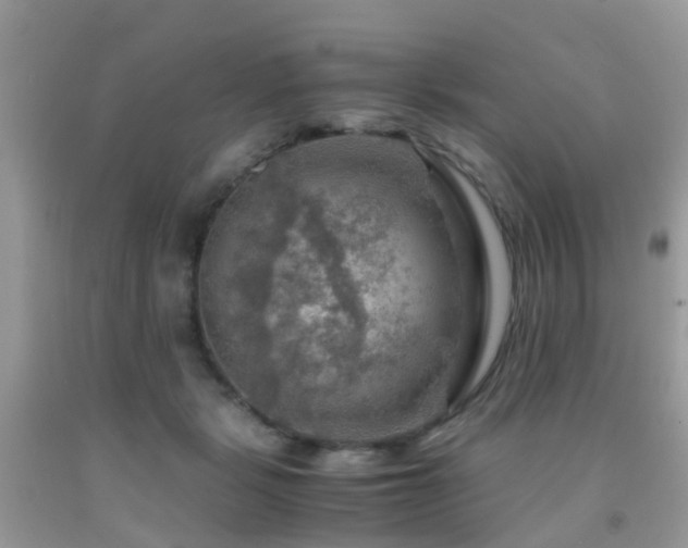 X0000092000461200709061443