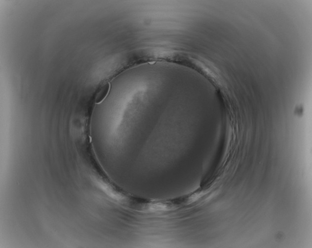 X0000092000462200709061443