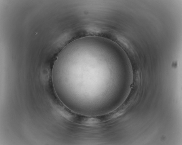 X0000092000463200709061443