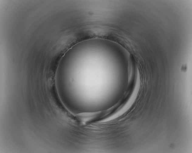 X0000092000464200709061443